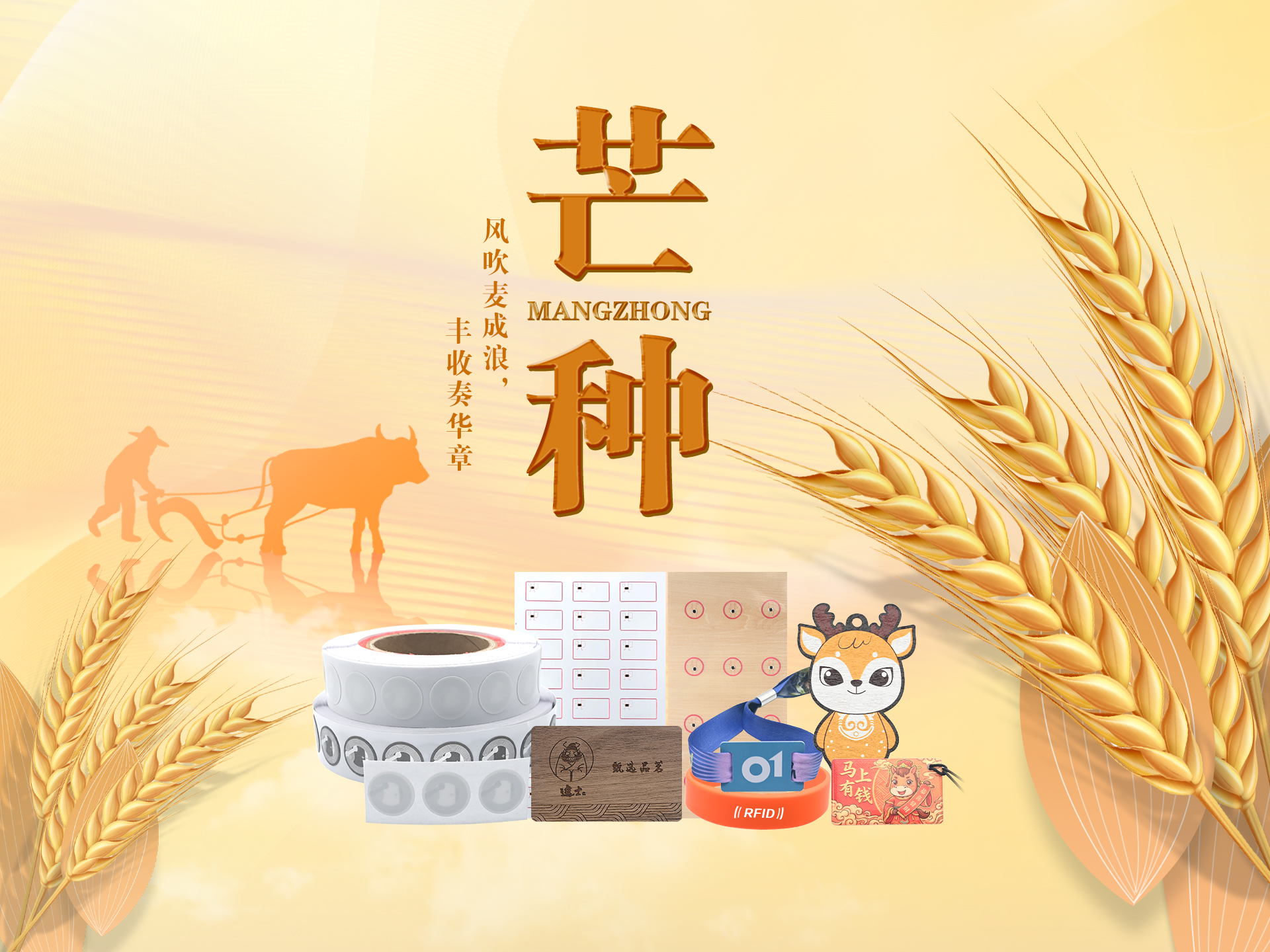 微信图片_20260602153937_5433_127